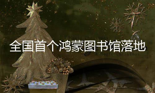 地罗鸿蒙湖全国图书馆落首个