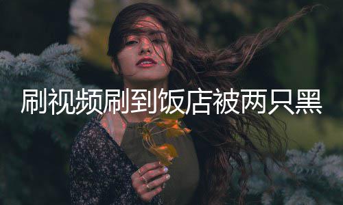 到饭店被店主懵黑熊频刷破门两只了闯入刷视