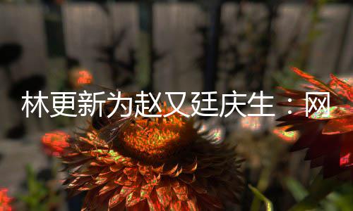 网上我贡原来都是新为献的赵又廷庆林更丑照生