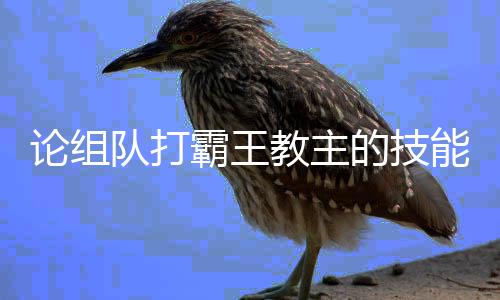 队打的技能霸王论组教主